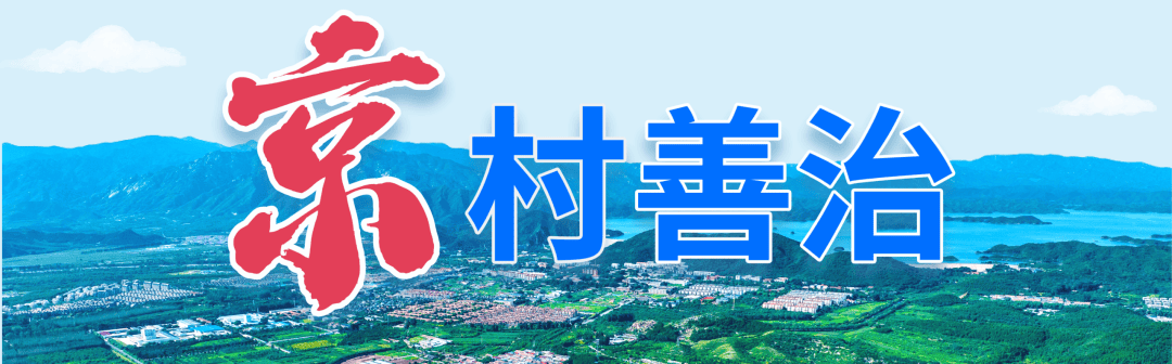 洪水口村红色+治理