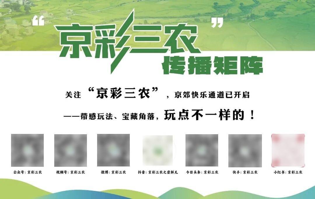 来源:京彩三农